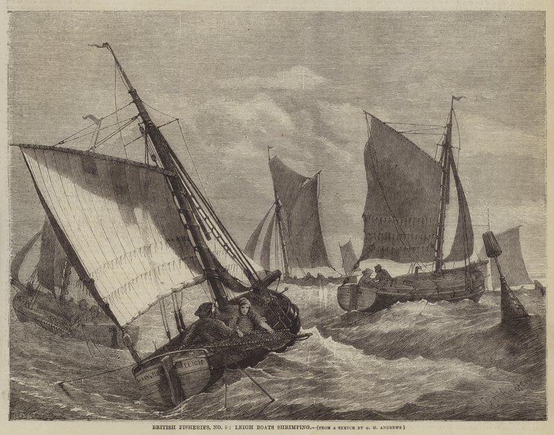 British Fisheries, No 6, Leigh Boats s krevetami od George Henry Andrews
