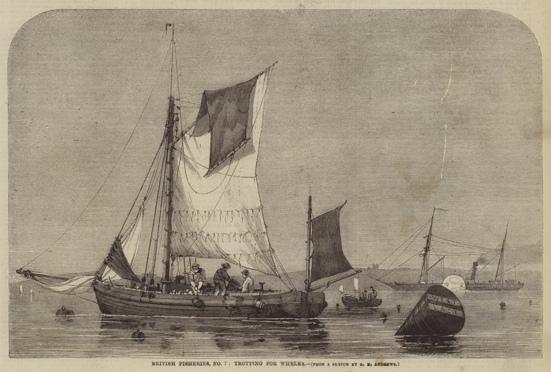 British Fisheries, č. 7, klusá pro surmovky od George Henry Andrews
