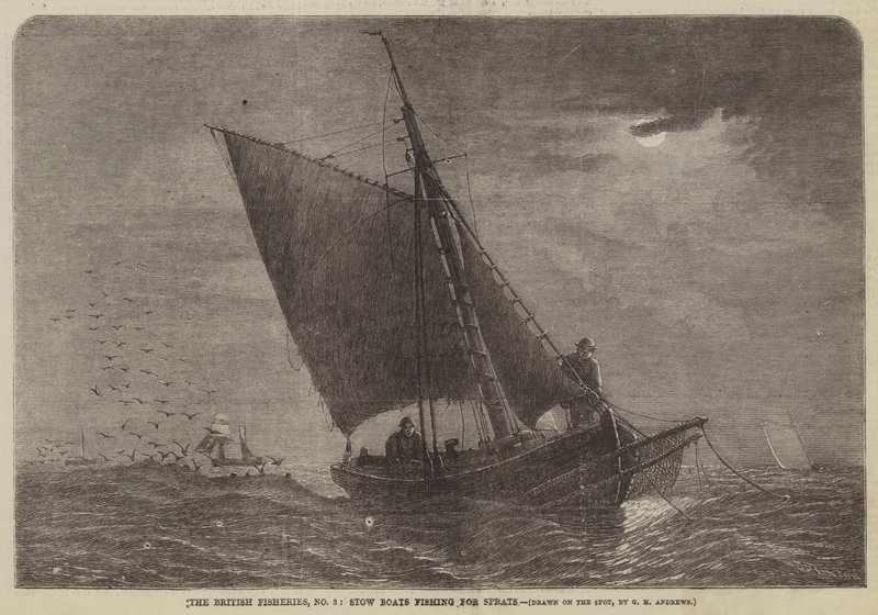 British Fisheries, č. 3, Stow Boats lovící šproty od George Henry Andrews