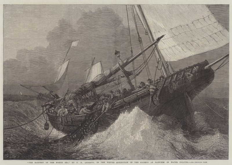 Sklizeň Severního moře od George Henry Andrews
