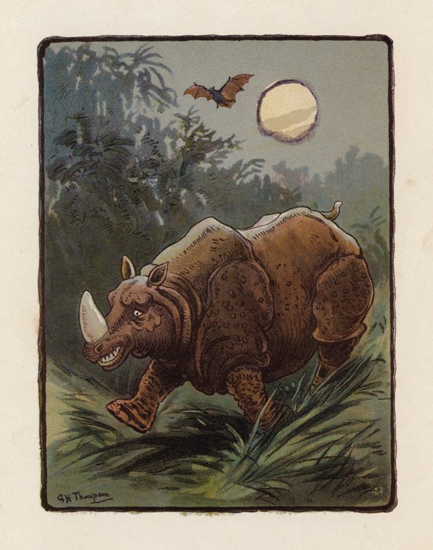 Nosorožec (barevná litografie) od George Henry Thompson