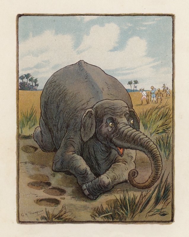 Slon (barevná litografie) od George Henry Thompson