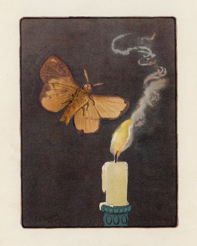 Můra (barevná litografie) od George Henry Thompson
