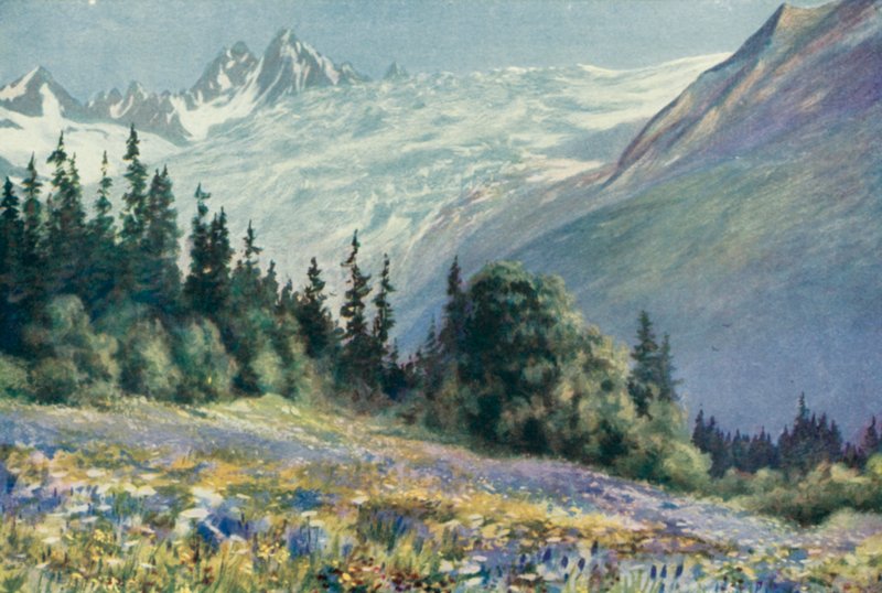 Campanula a další červencové květiny na Col Des Montets (barevné lito) od George Jackson Flemwell