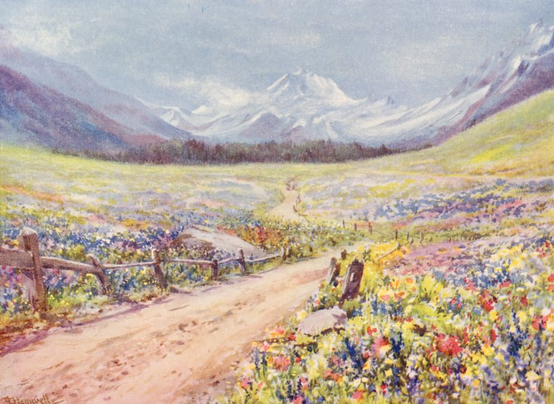 Červnové louky se šalvějí, lichnisem atd. v údolí Val Ferret, těsně před příjezdem do vesnice Praz de Fort (barevná litografie) od George Jackson Flemwell
