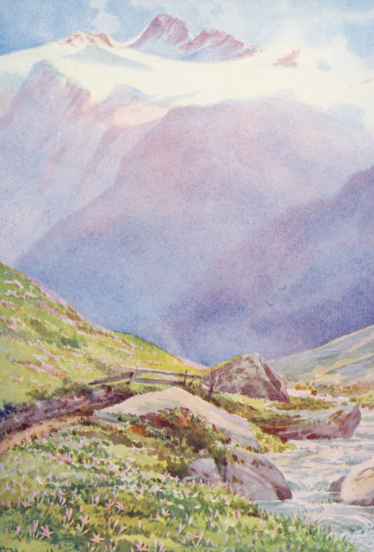 Podzimní krokusy na polích u vesnice Trient, v pozadí Aiguille du Tour, září (barevná litografie) od George Jackson Flemwell