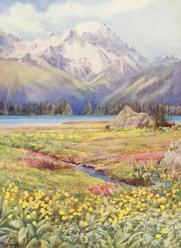 Horní pole Champex na začátku června, v dálce Grand Combin (barevná litografie) od George Jackson Flemwell