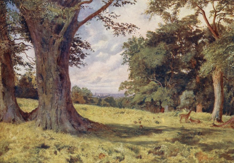 Polana ve Windsorském parku (barevná litografie) od George Moore Henton