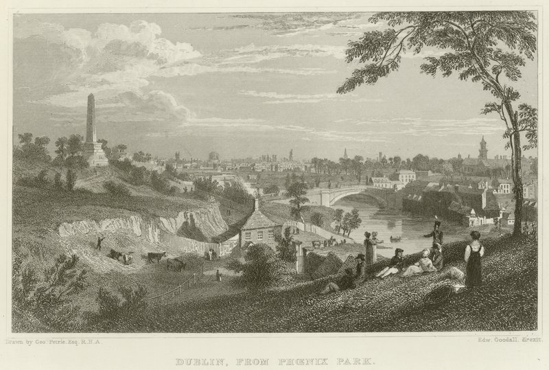Dublin z parku Phoenix od George Petrie