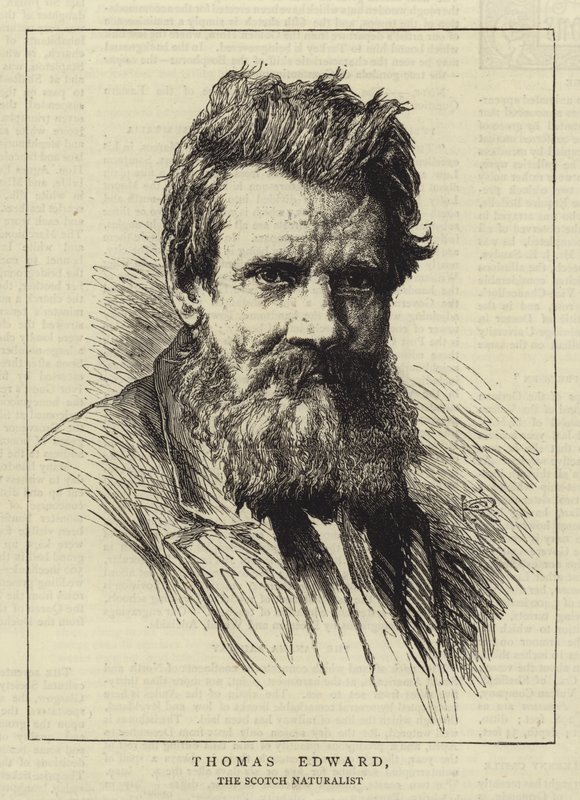 Thomas Edward od George Reid