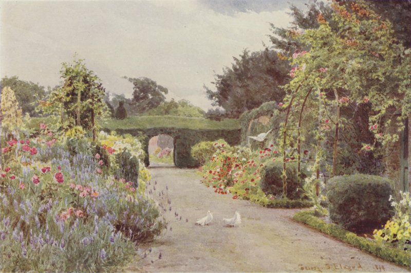 Čínské růže a levandule, Palmerstown od George Samuel Elgood