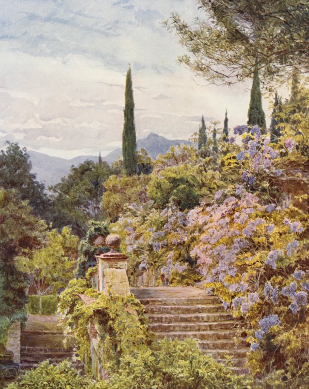 Italské zahrady: Wistaria, Villa Cavagnaro (barevná litografie) od George Samuel Elgood