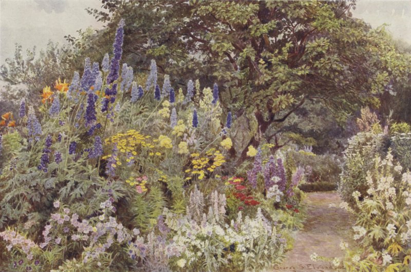 Ramscliffe, Larkspur od George Samuel Elgood