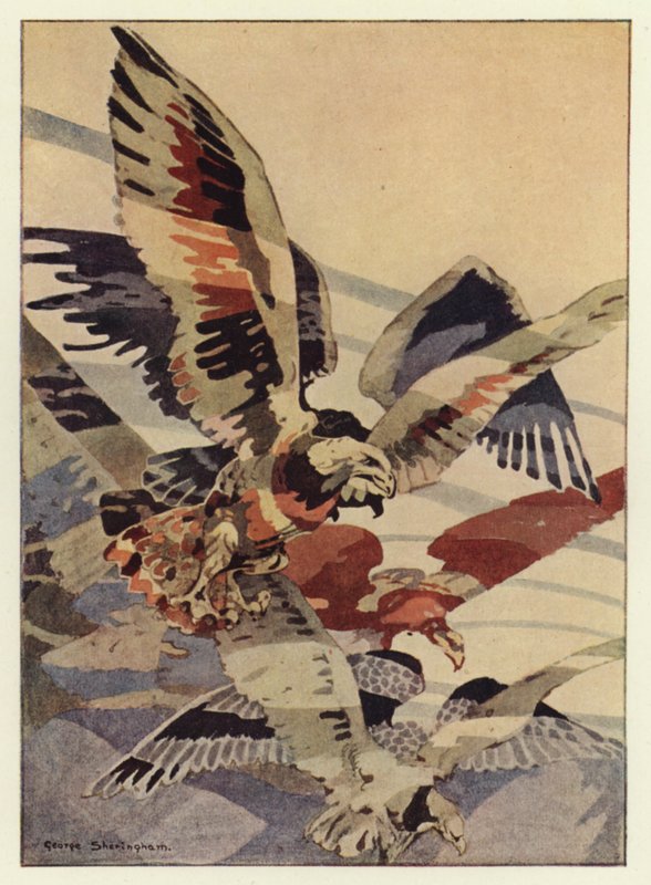 Velký orel mu dělal větry (barva litho) od George Sheringham