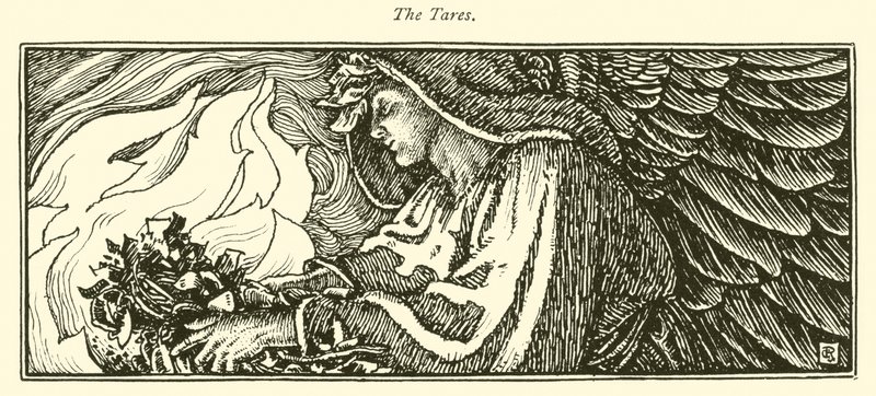 The Tares (rytina) od George Woolliscroft Rhead