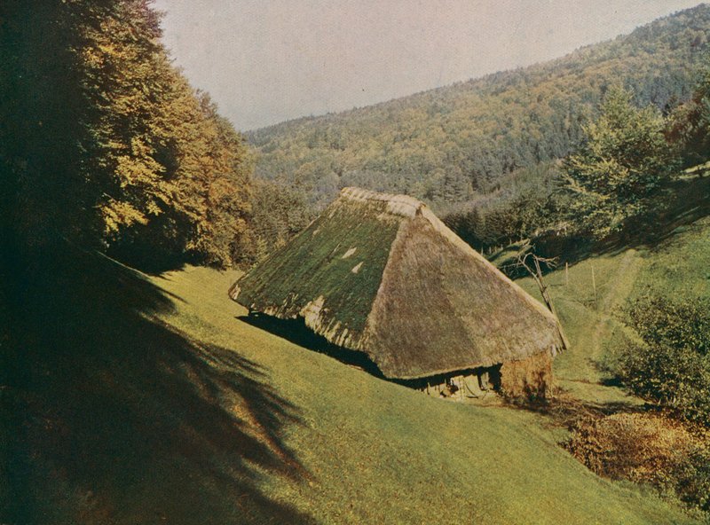 Tradiční statek ve Schwarzwaldu, Wildtal, Německo (barevné foto) od German Photographer