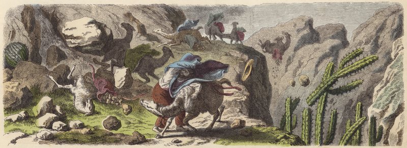 Karavana lamy přepravující rudu zachycenou bouří v Andách (barevná rytina) od German School