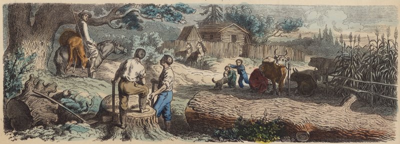 Nová osada na americkém západě (barevná rytina) od German School