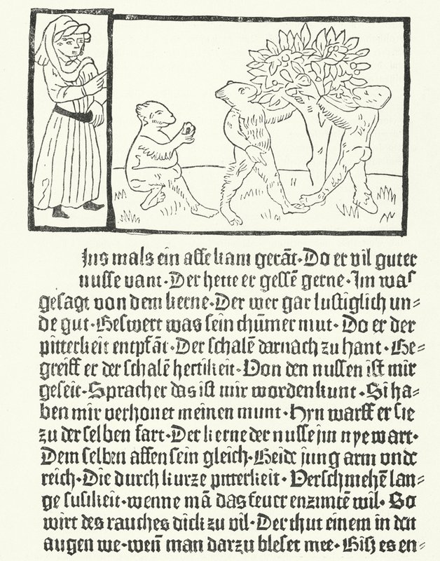 Scéna z knihy 