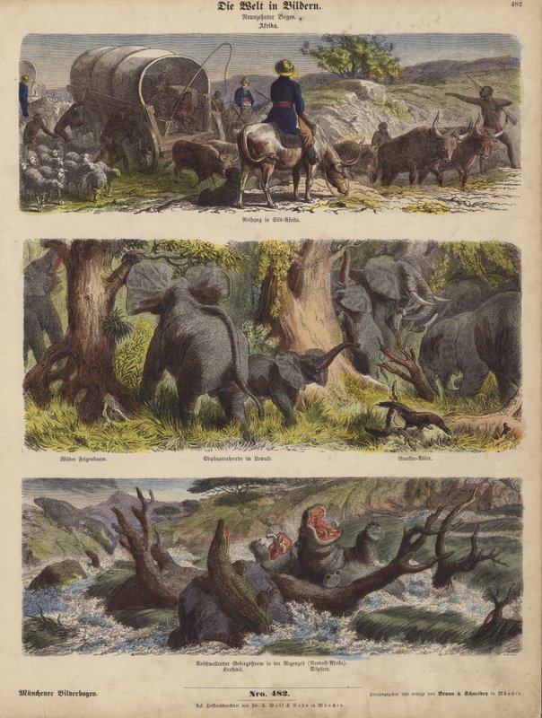 Afrika (barevná rytina) od German School