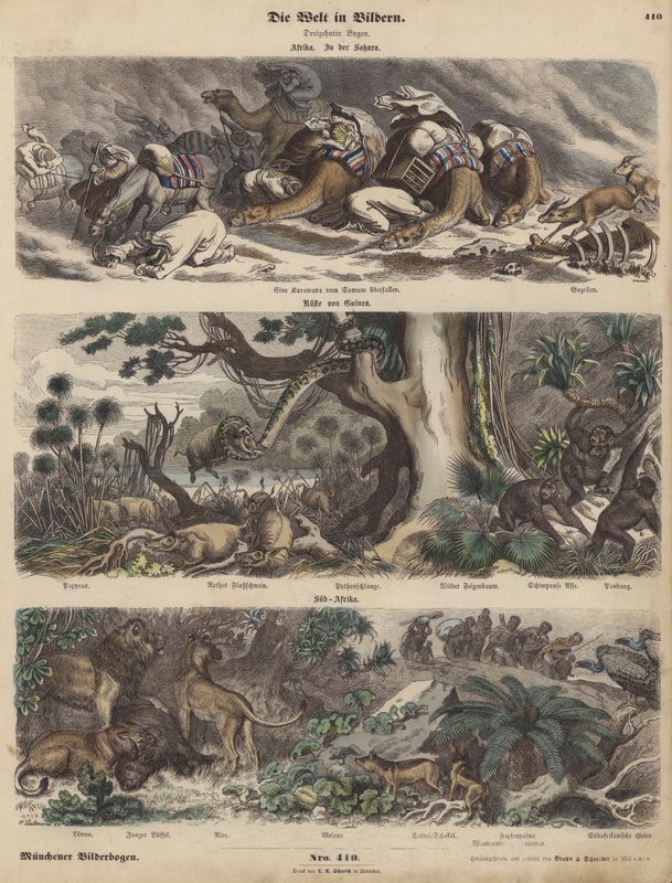 Afrika: karavana zachycená v písečné bouři na Sahaře; pobřeží Guineje; Jižní Afrika (barevná rytina) od German School