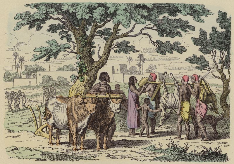 Starověký egyptský farmář a lovci (barevná rytina) od German School