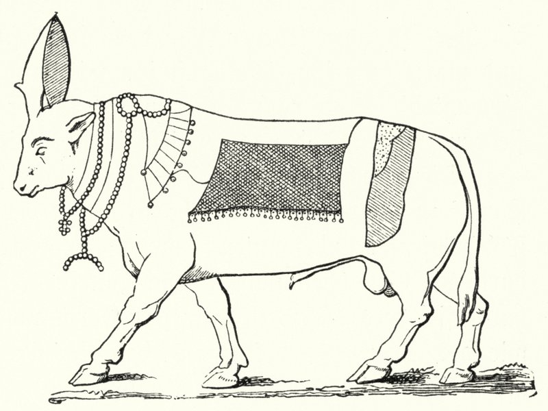 Apis, posvátný býk starověkého Egypta (rytina) od German School