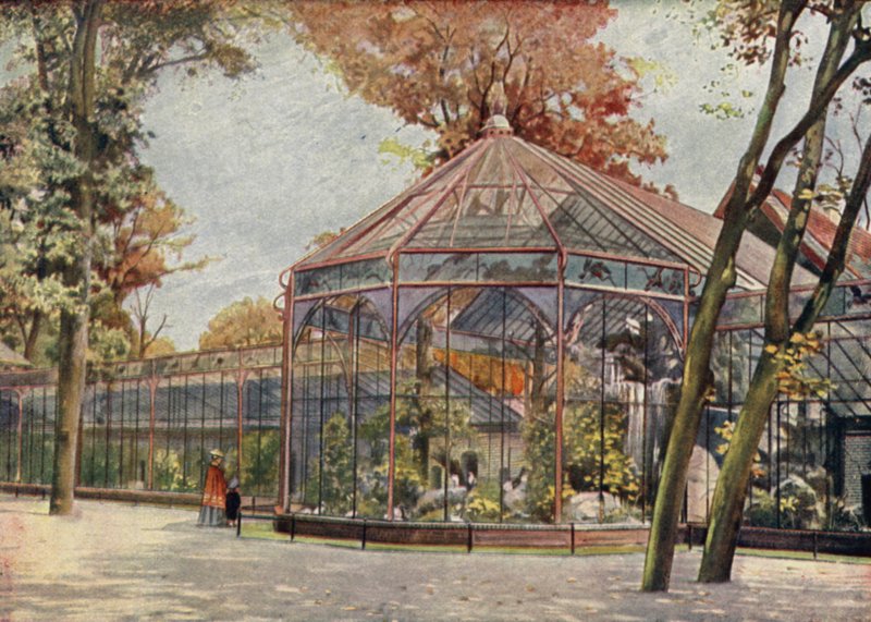 Voliéra, Berlínská zoologická zahrada, Německo (barevné lito) od German School