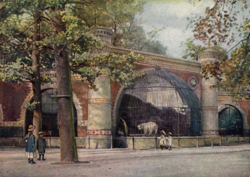 Medvědí výběh, Berlínská zoologická zahrada, Německo (barva lito) od German School
