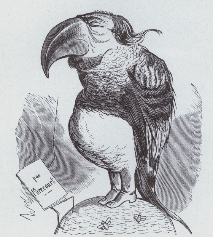 Karikatura Napoleona III Francie jako papoušek (litho) od German School