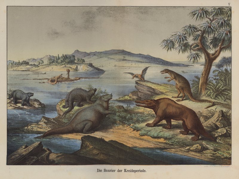 Dinosauři z období křídy (barevné lito) od German School