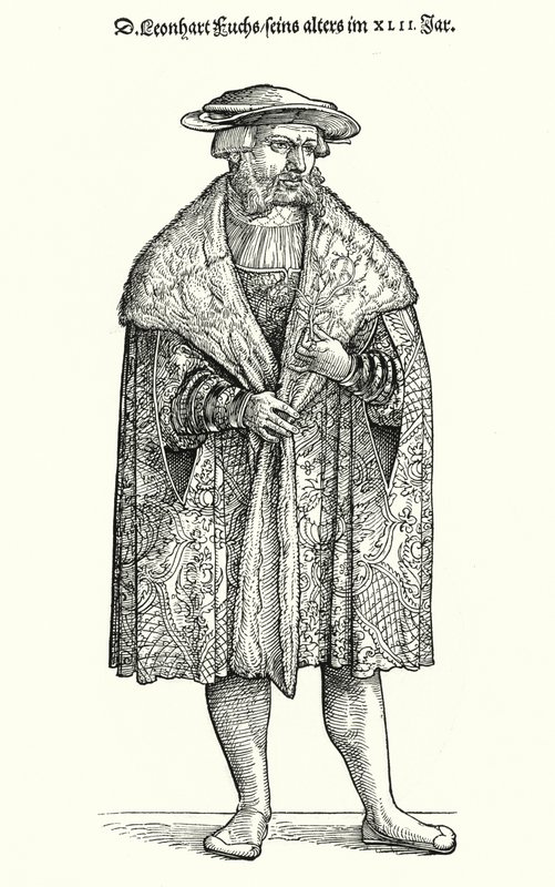 Dr Leonhart Fuchs, německý lékař, botanik a profesor na univerzitě v Tubingenu (rytina) od German School