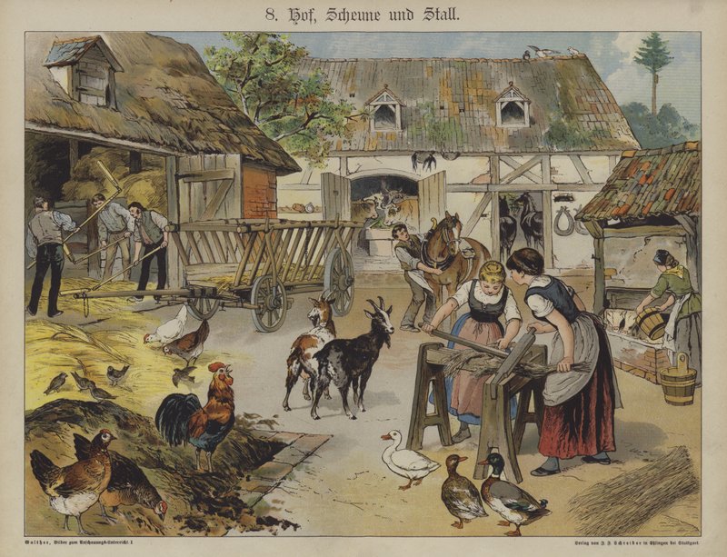 Farma (barevné lito) od German School