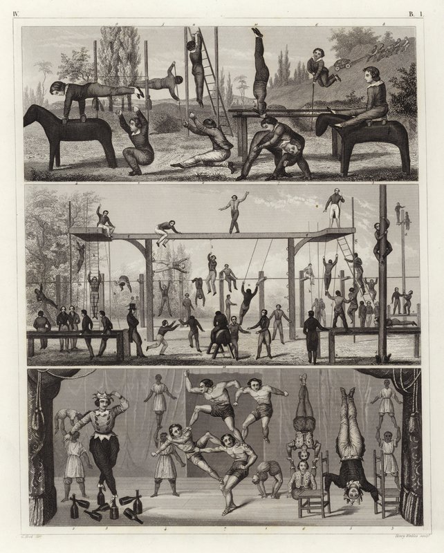 Gymnastika a akrobacie (rytina) od German School