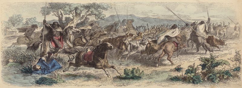Indiáni překvapující Gauchos na Pampách a odjíždějící se svým stádem dobytka (barevná rytina) od German School