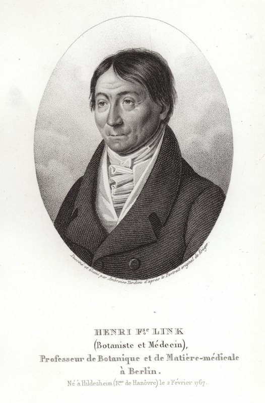 Johann Heinrich Friedrich Link od German School
