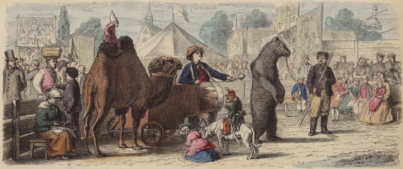 Představení zvířecí skupiny v Německu (barevné rytí) od German School