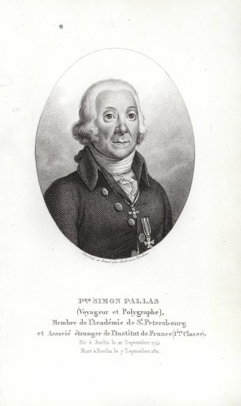 Petr Šimon Pallas od German School