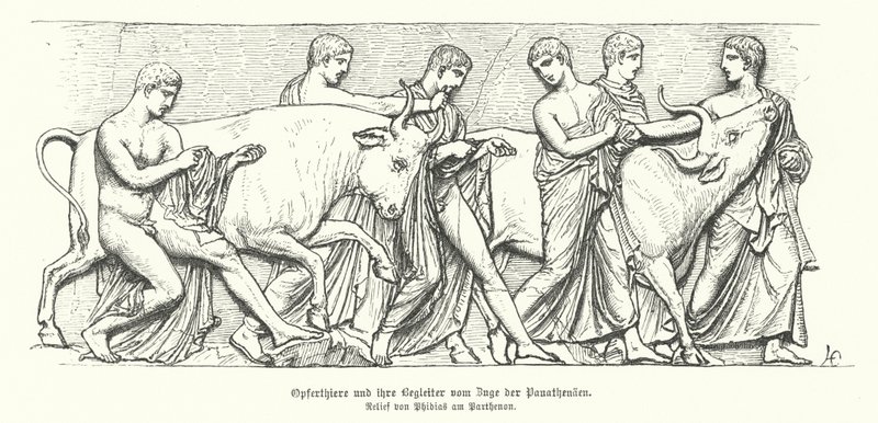 Obětní zvířata ve starověkém řeckém průvodu Panathenaia (rytina) od German School