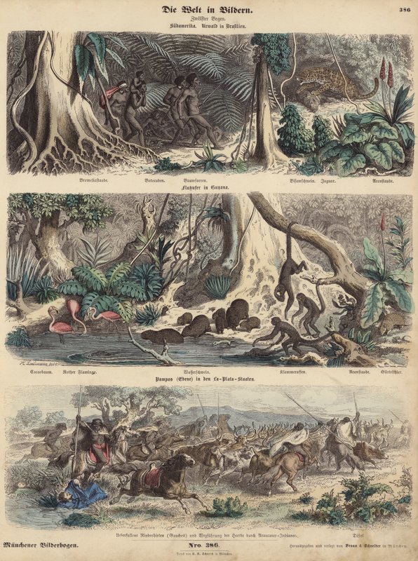 Jižní Amerika: džungle v Brazílii; břeh řeky v Guyaně; Indiáni překvapili Gauchos na Pampách a utekli se svým stádem dobytka. (barevné gravírování) od German School