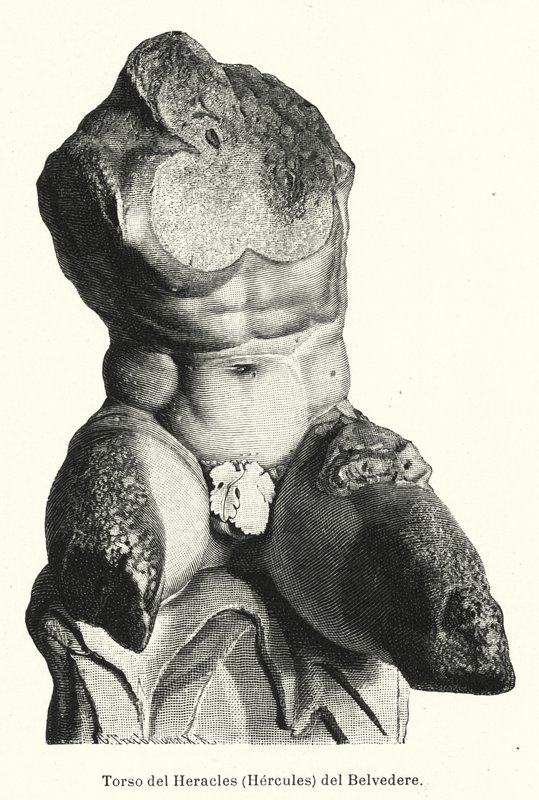 Belvedere Torso, římská socha tradičně považovaná za reprezentaci Herkula (litho) od German School