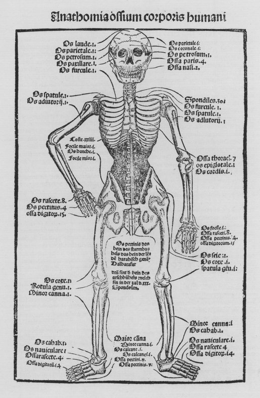 Kniha Cirurgia od Hieronyma Brunschwiga od German School