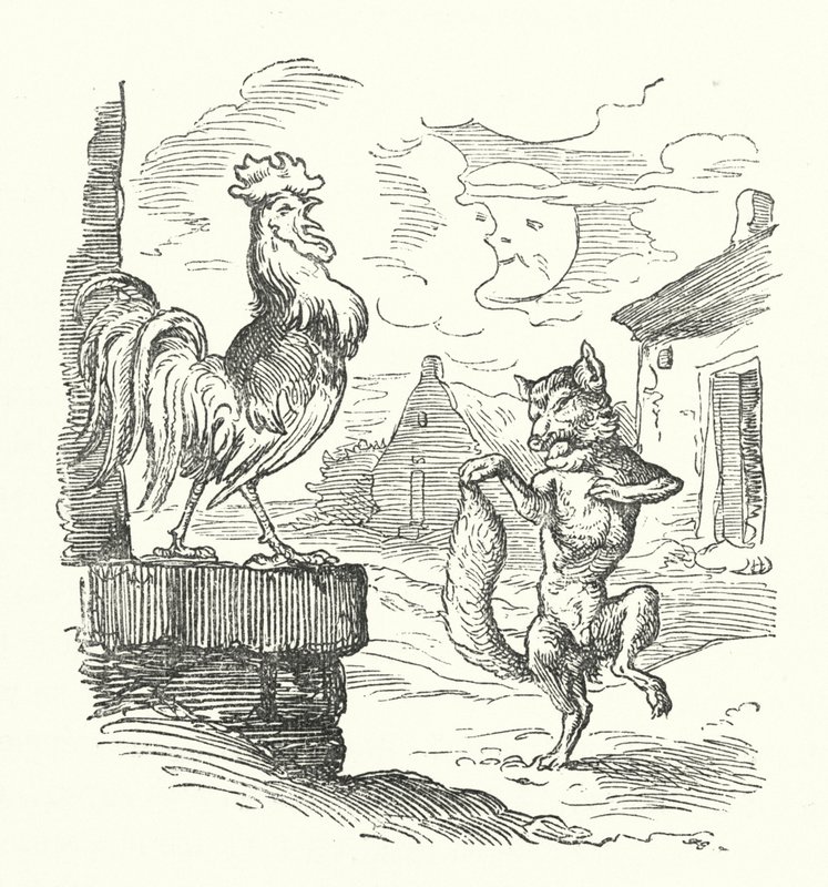 The Cock And The Fox (rytina) od German School