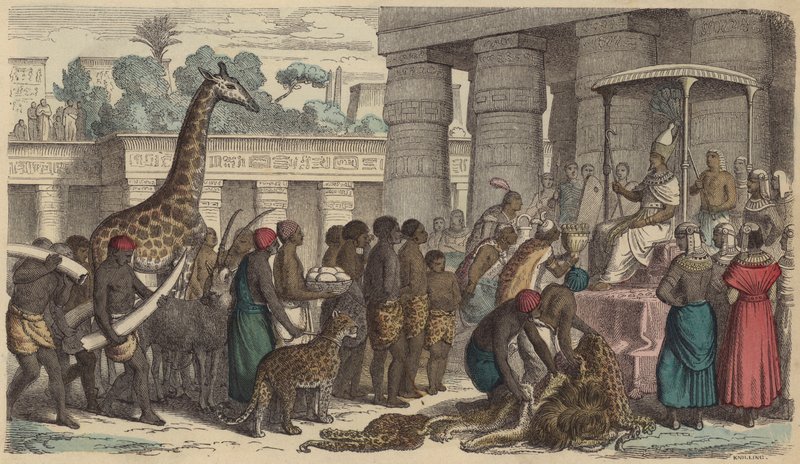 Oběti na poctu z Etiopie jsou předkládány egyptskému faraonovi (barevná rytina) od German School