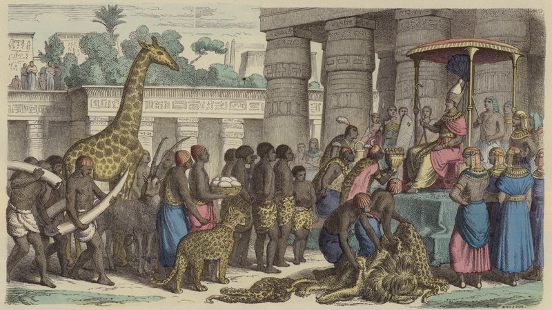 Oběti na poctu z Etiopie jsou předkládány egyptskému faraonovi (barevná rytina) od German School