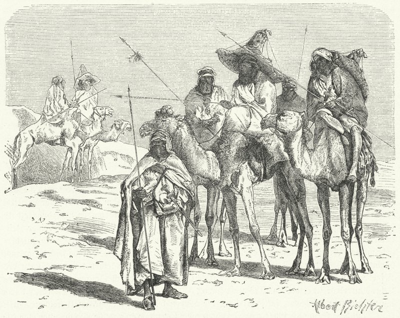 Tuaregové (rytina) od German School