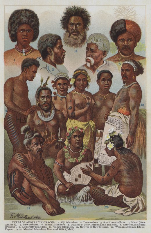 Typy australských ras (barevné litho) od German School