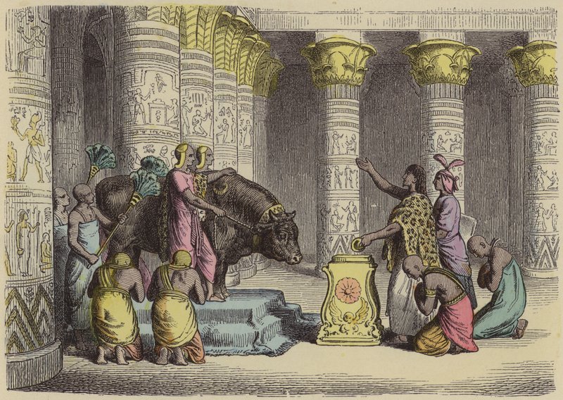 Uctívání býka Apisa ve starověkém Egyptě (barevná rytina) od German School