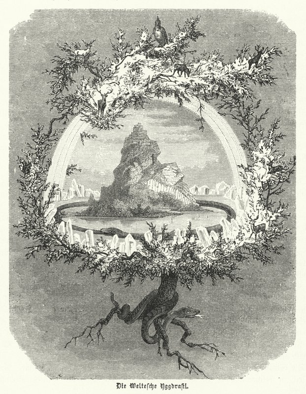 Yggdrasil, mýtický jasan severské kosmologie (rytina) od German School