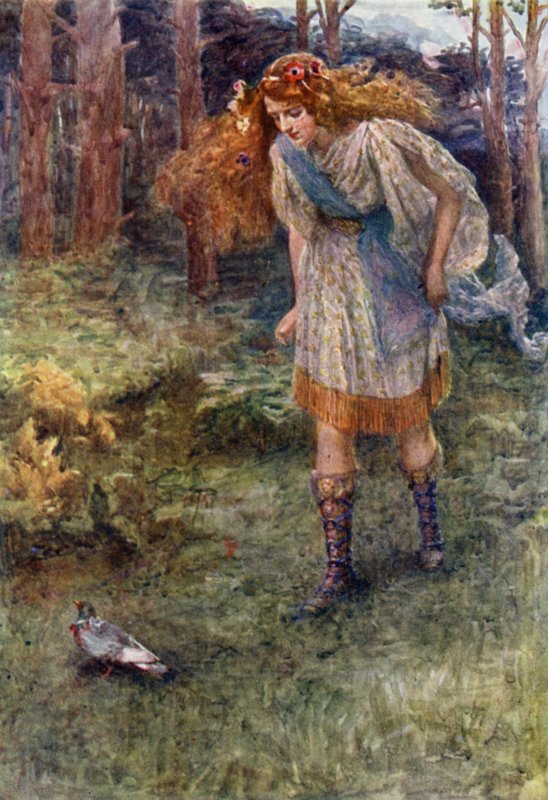 "A kdykoli se přiblížila, holubice poskočila trochu dopředu" (barva litho) od Gertrude E. Demain (after) Hammond